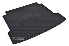 Gumová vanička do kufra BMW X6 (G06), 19- , Rigum