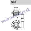 Autožiarovka 12V HB4 51W P22d NARVA